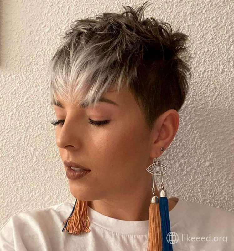 Cristina Delgado Short Hairstyles - 1