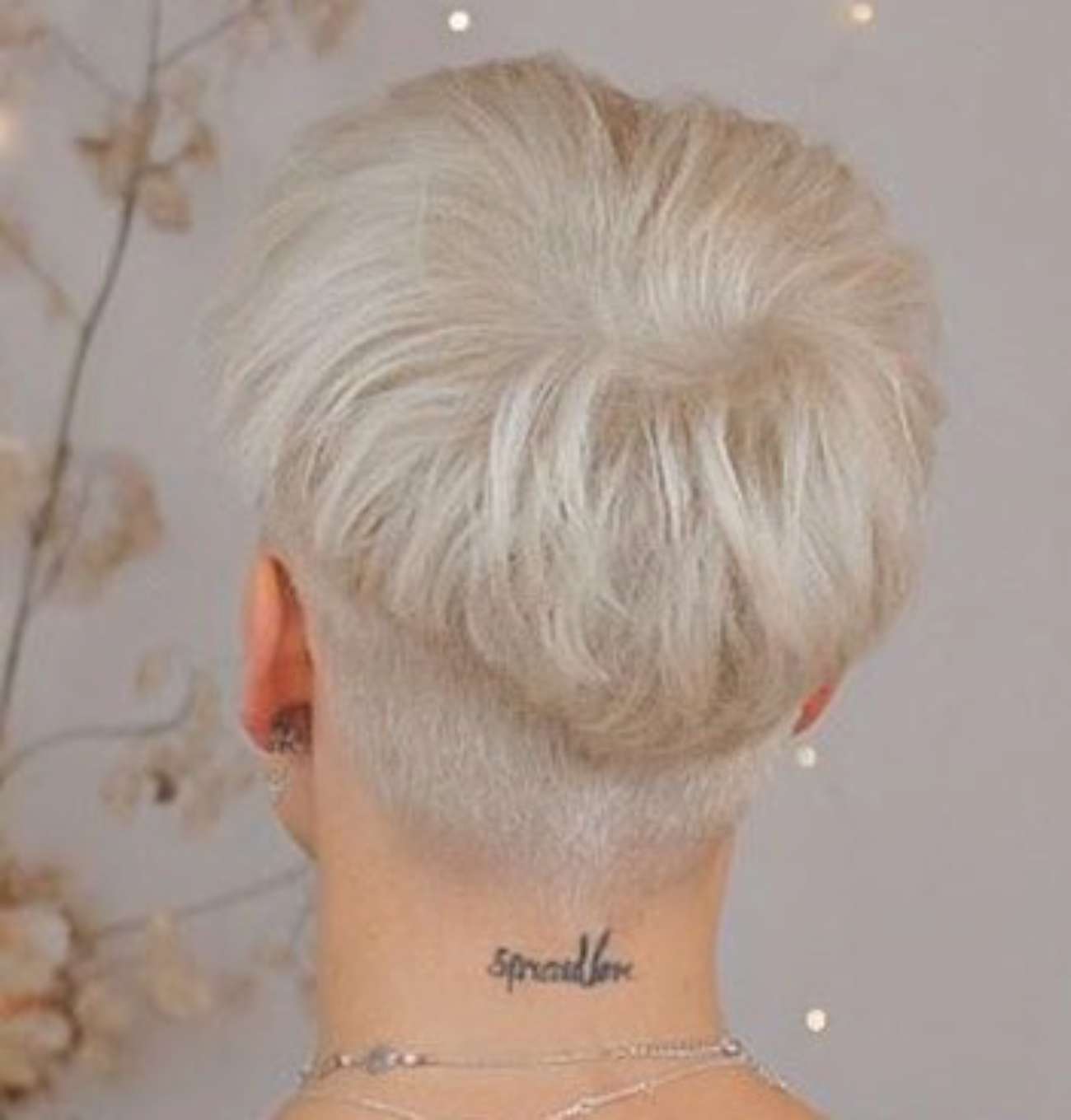 Lisa Rasa Short Hairstyles – 3