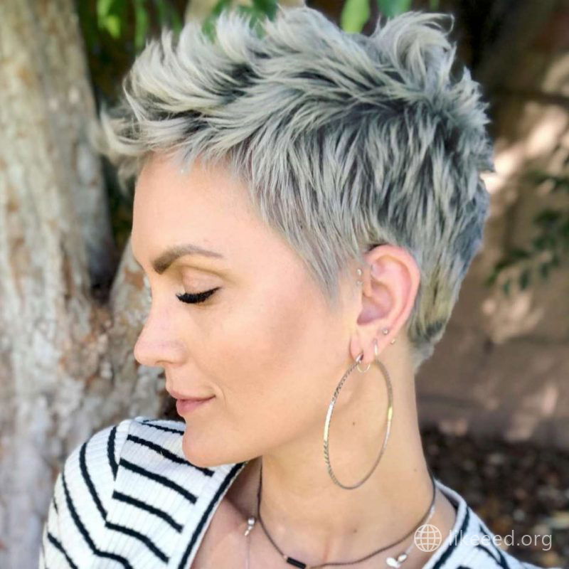 Whippy Cake Short Hairstyles - 1