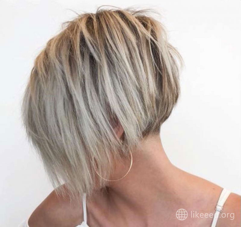 Ezmia Bascom Short Hairstyles - 2