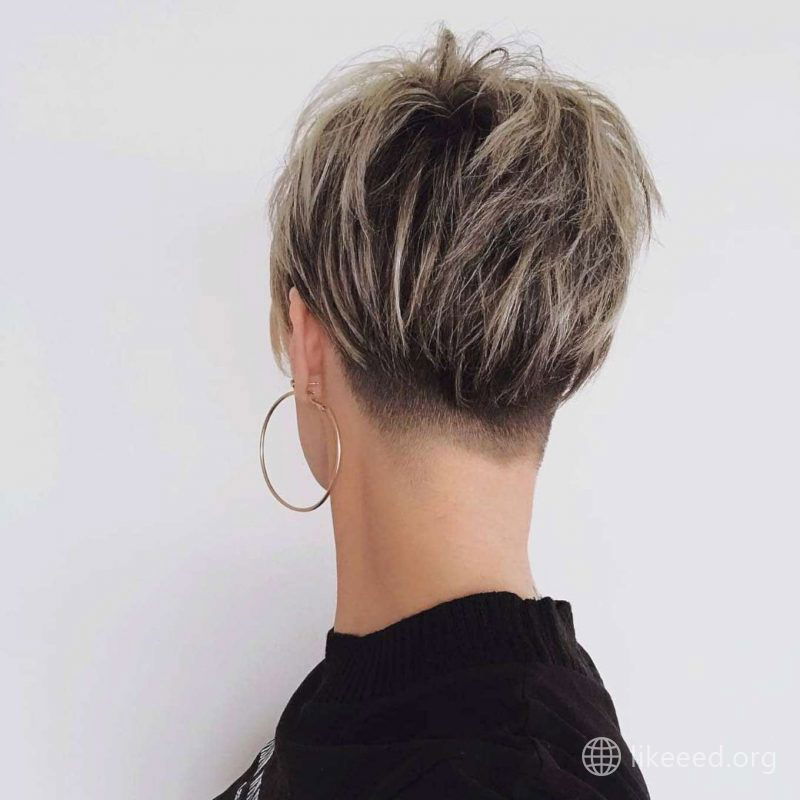 Kim Dailey Short Hairstyles - 4
