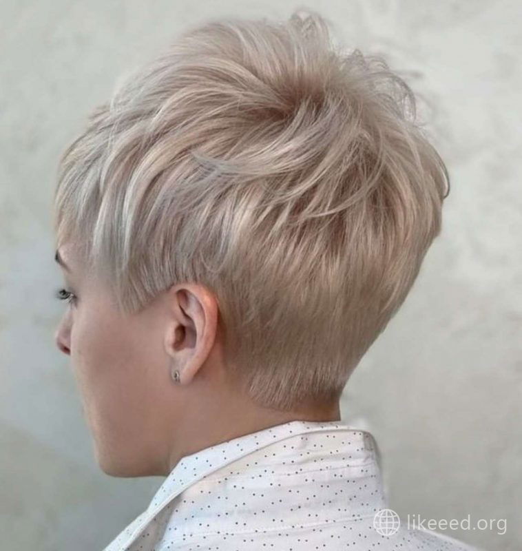 Maribel Harris Short Hairstyles - 2
