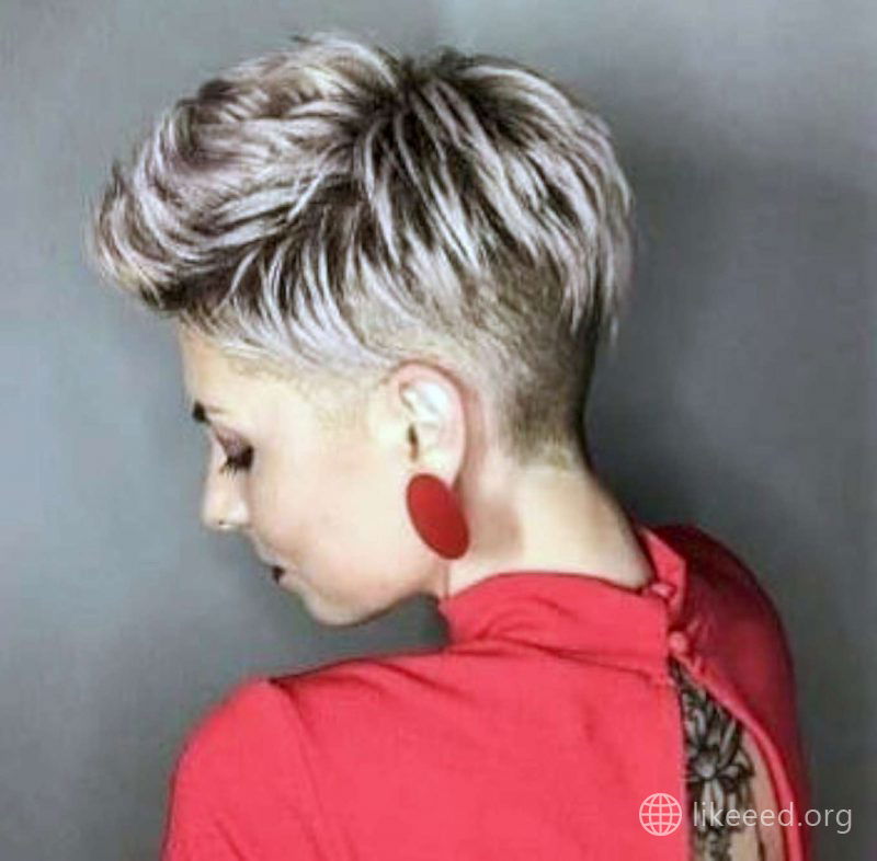 Izabela Marta Short Hairstyles - 1