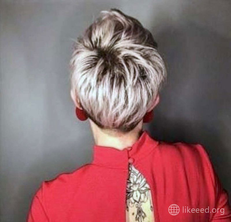 Izabela Marta Short Hairstyles - 4
