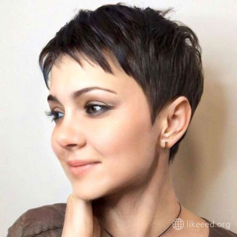 Katrina Lovato Short Hairstyles - 1