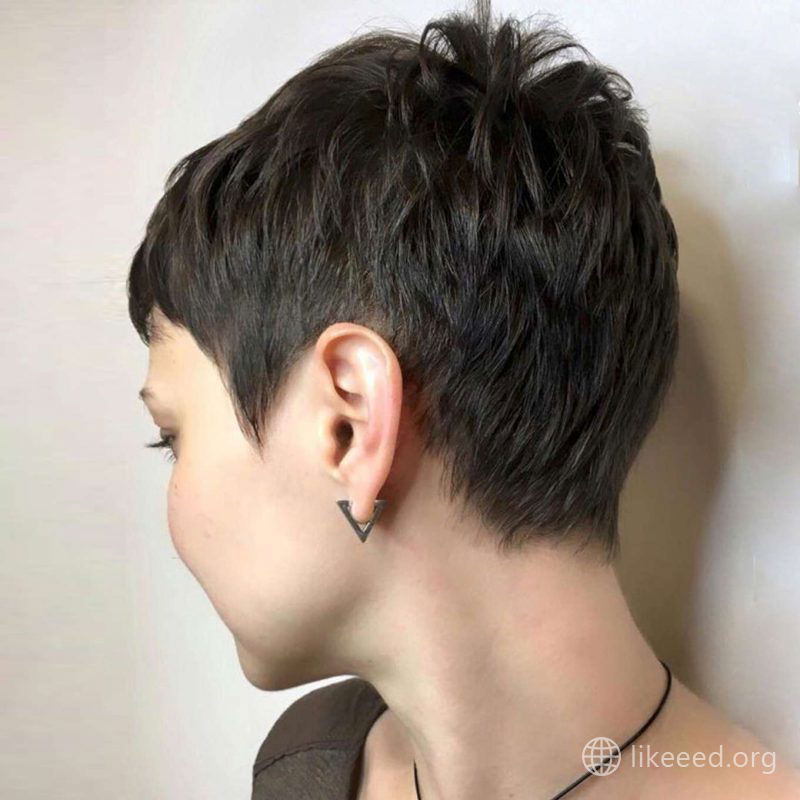 Katrina Lovato Short Hairstyles - 4