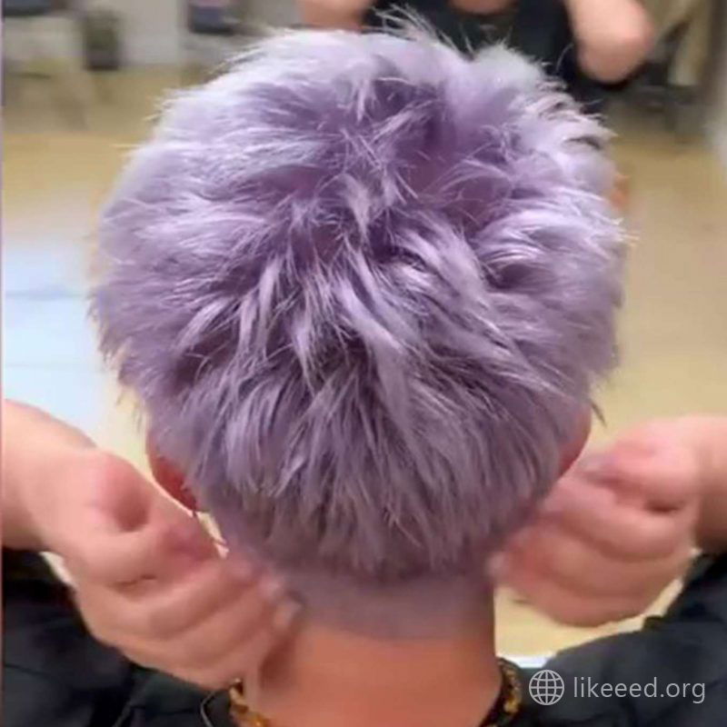 Ursula Robinson Short Hairstyles - 4