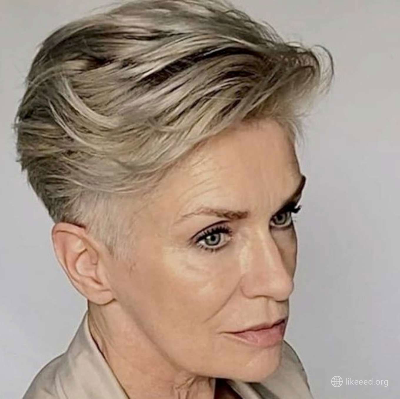Volz Petra Short Hairstyles – 2