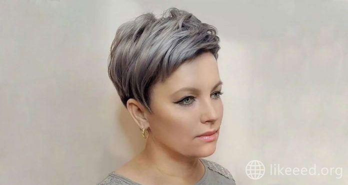 Carmella Roy Short Hairstyles