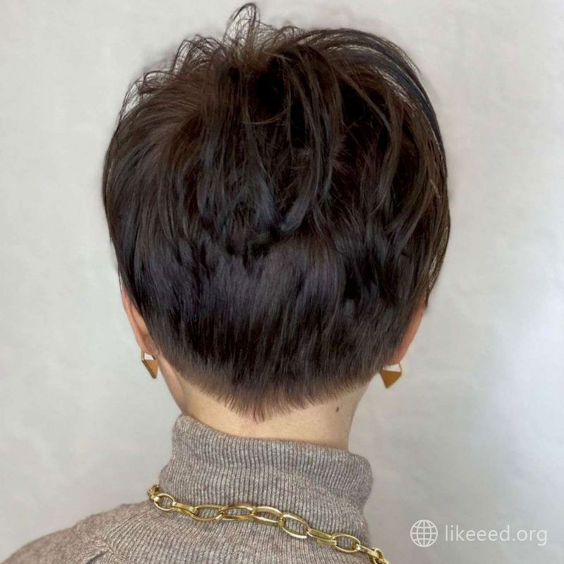 Audrey Nguyen Short Hairstyles - 4