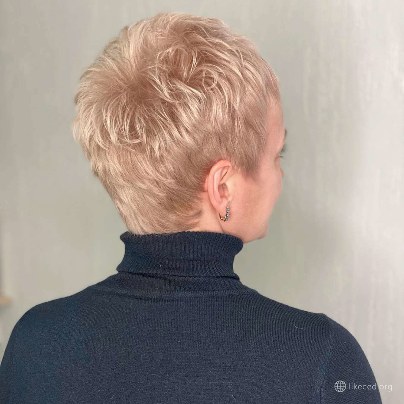 Susanne Brooks Short Hairstyles – 4