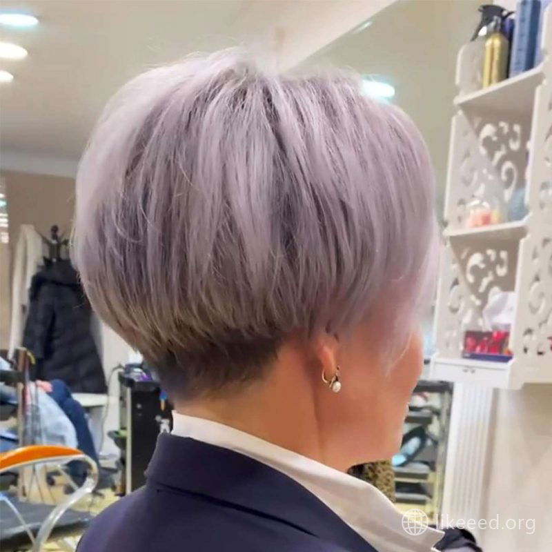 Wendi Reed Short Hairstyles - 2