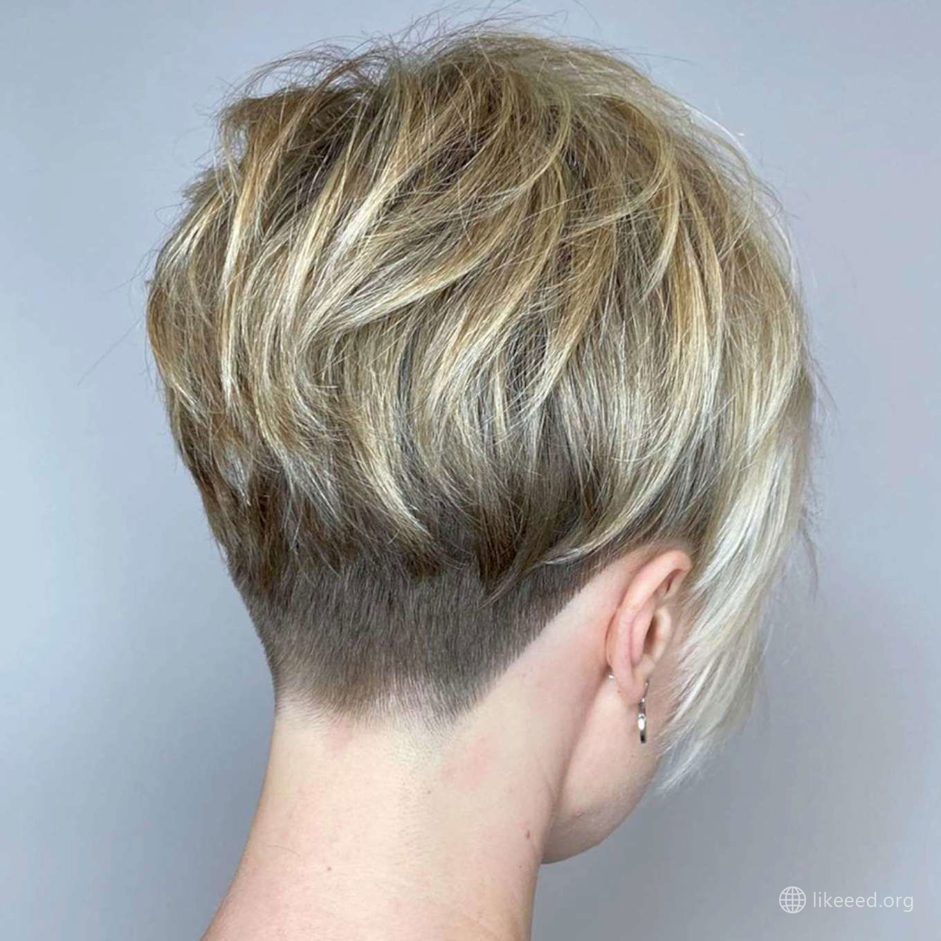 Deanne Williams Short Hairstyles – 4