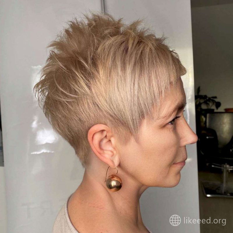 Alexandra Collins Short Hairstyles - 2