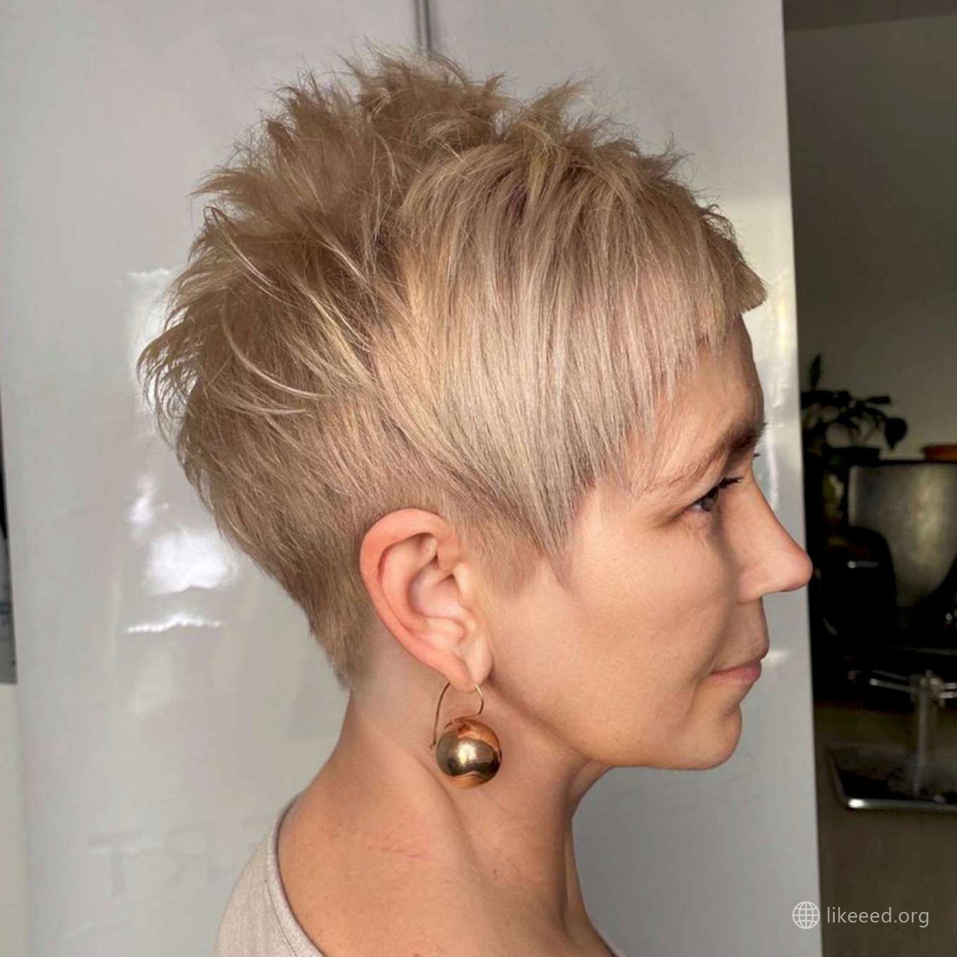 Alexandra Collins Short Hairstyles – 2