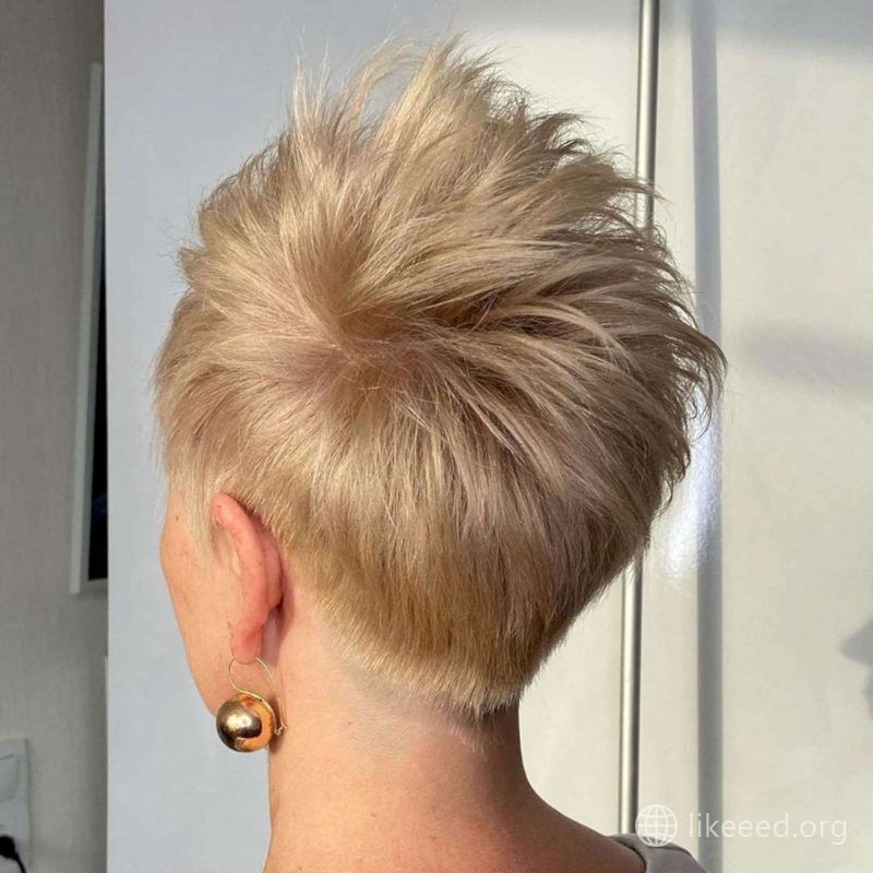 Alexandra Collins Short Hairstyles - 3