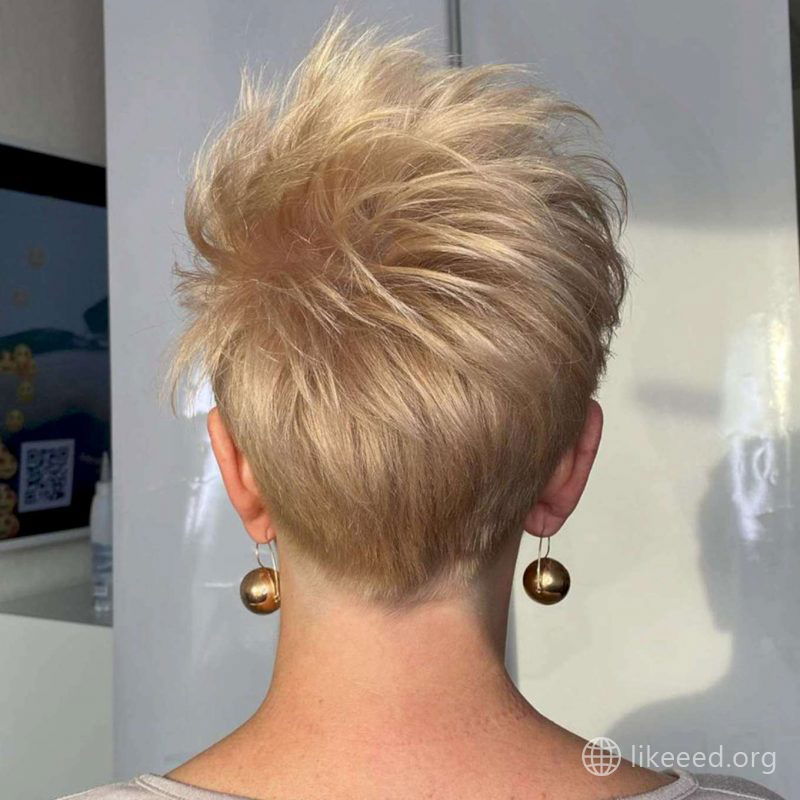 Alexandra Collins Short Hairstyles - 4