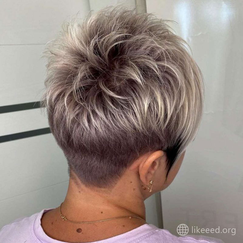 Janie Arms Short Hairstyles - 2