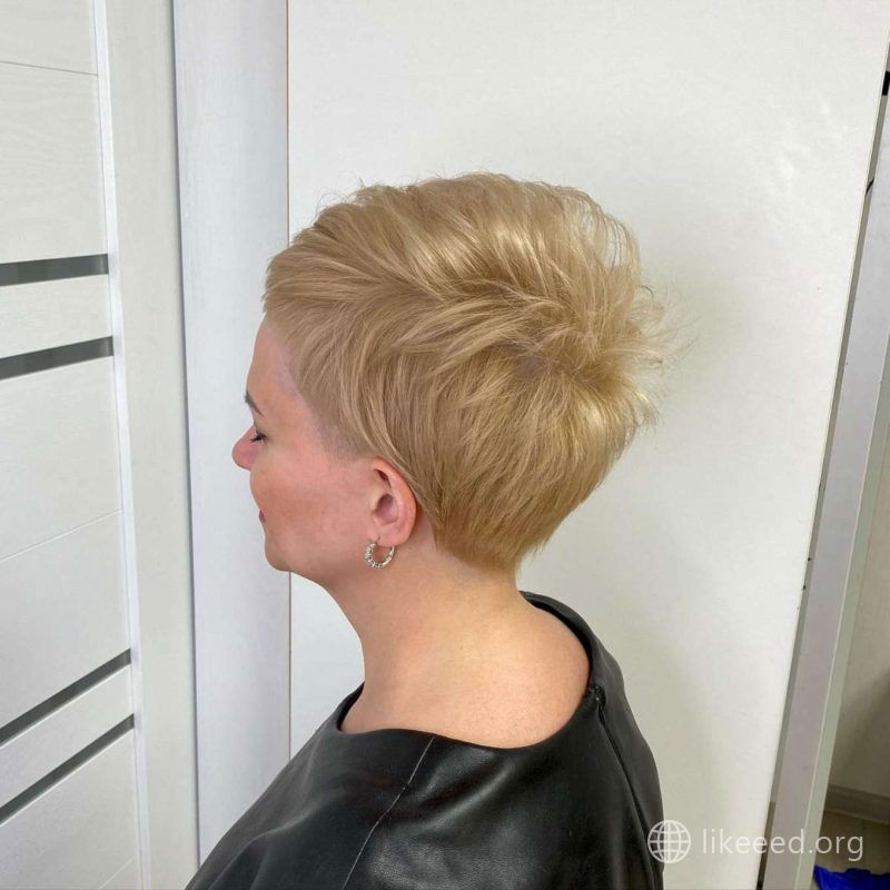 Paulette Campbell Short Hairstyles - 4