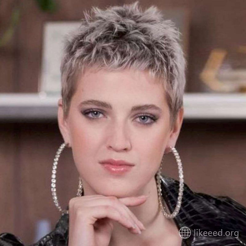 Lou Anne Gleissenebner Short Hairstyles - 2