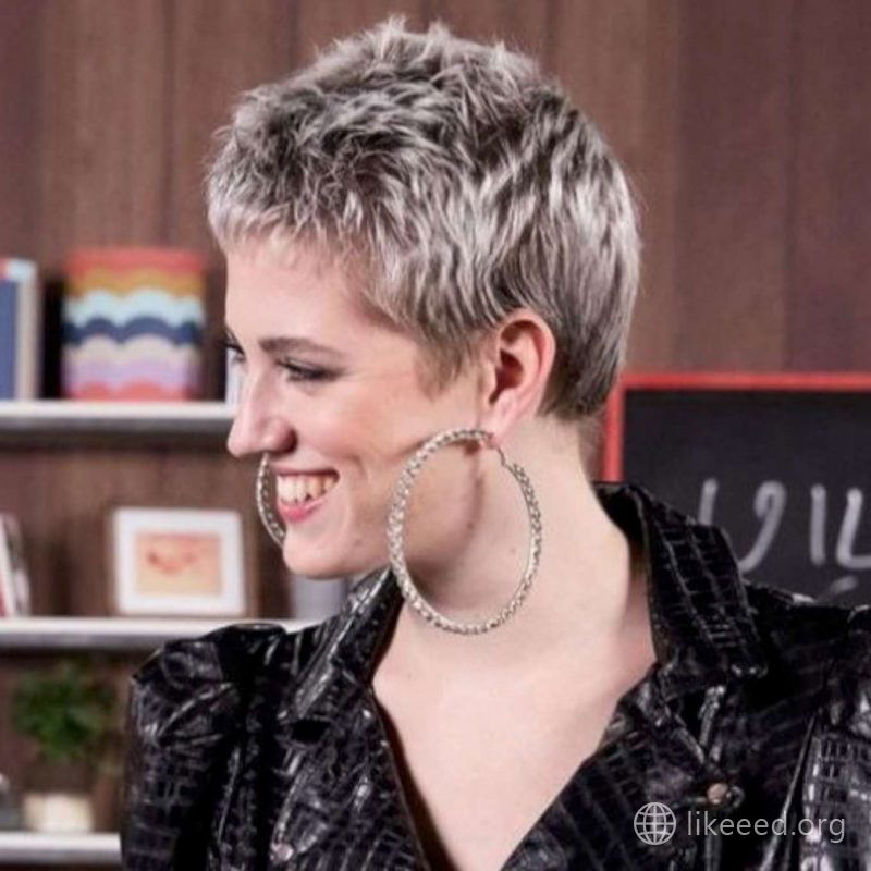 Lou Anne Gleissenebner Short Hairstyles - 4