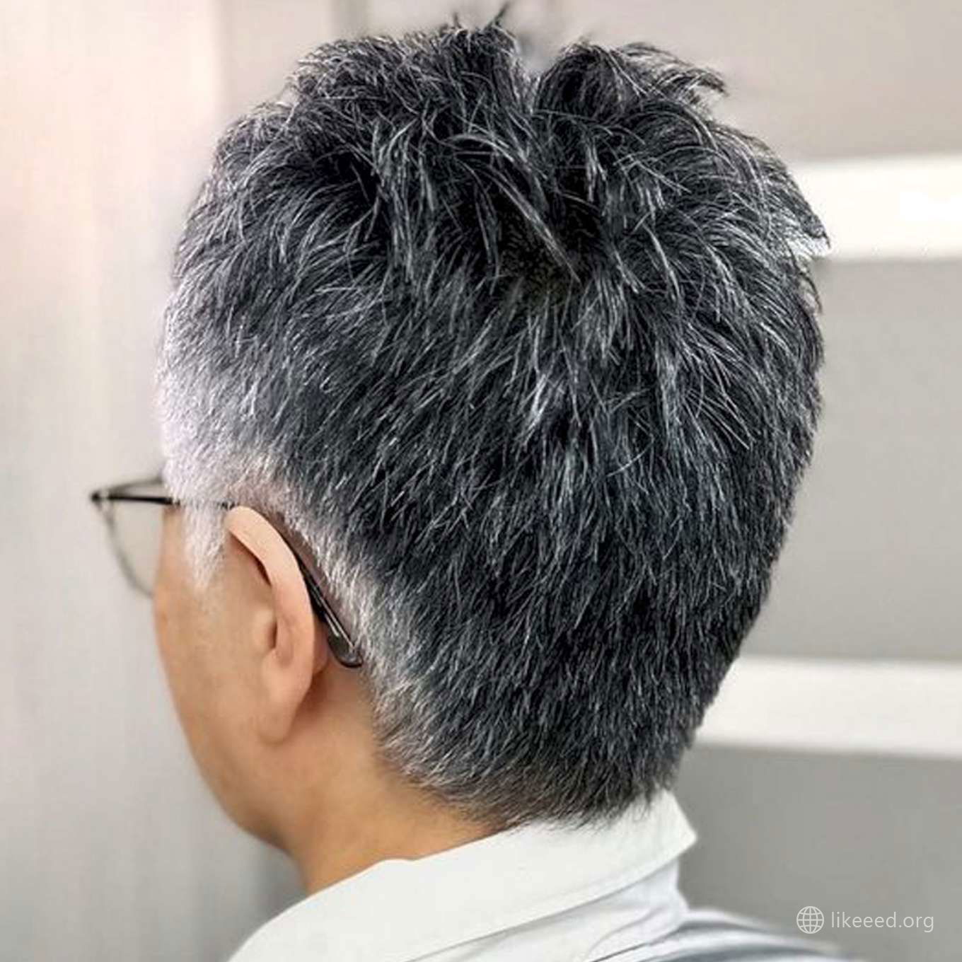 Ladonna James Short Hairstyles – 4