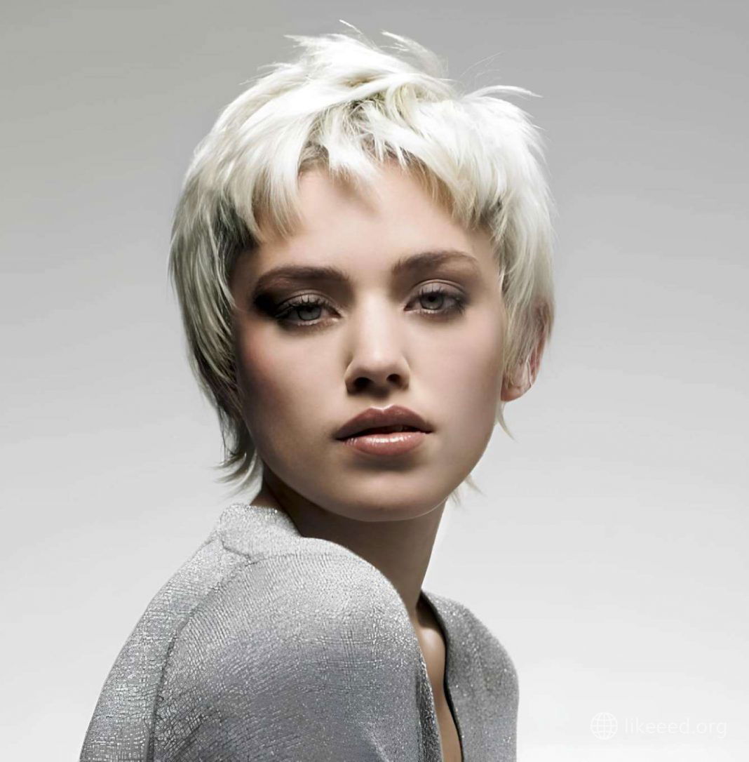 Modern Shaggy Pixie with Silver Tones