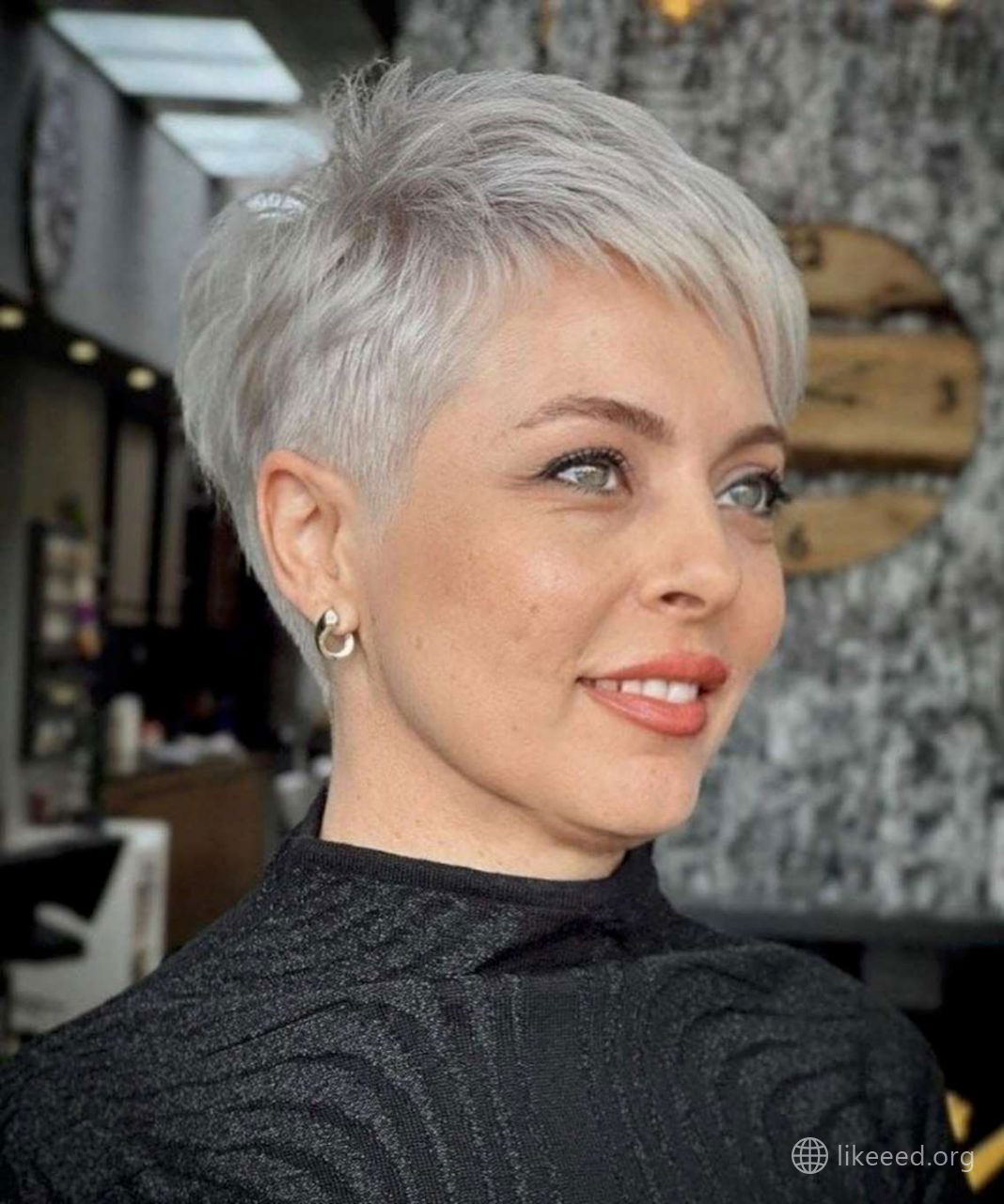 Sophisticated Silver Pixie