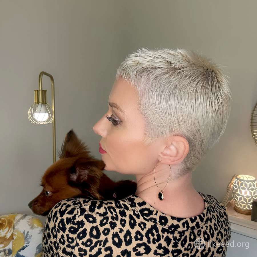 Effortless Beauty: The Modern Pixie Cut with a Soft Touch